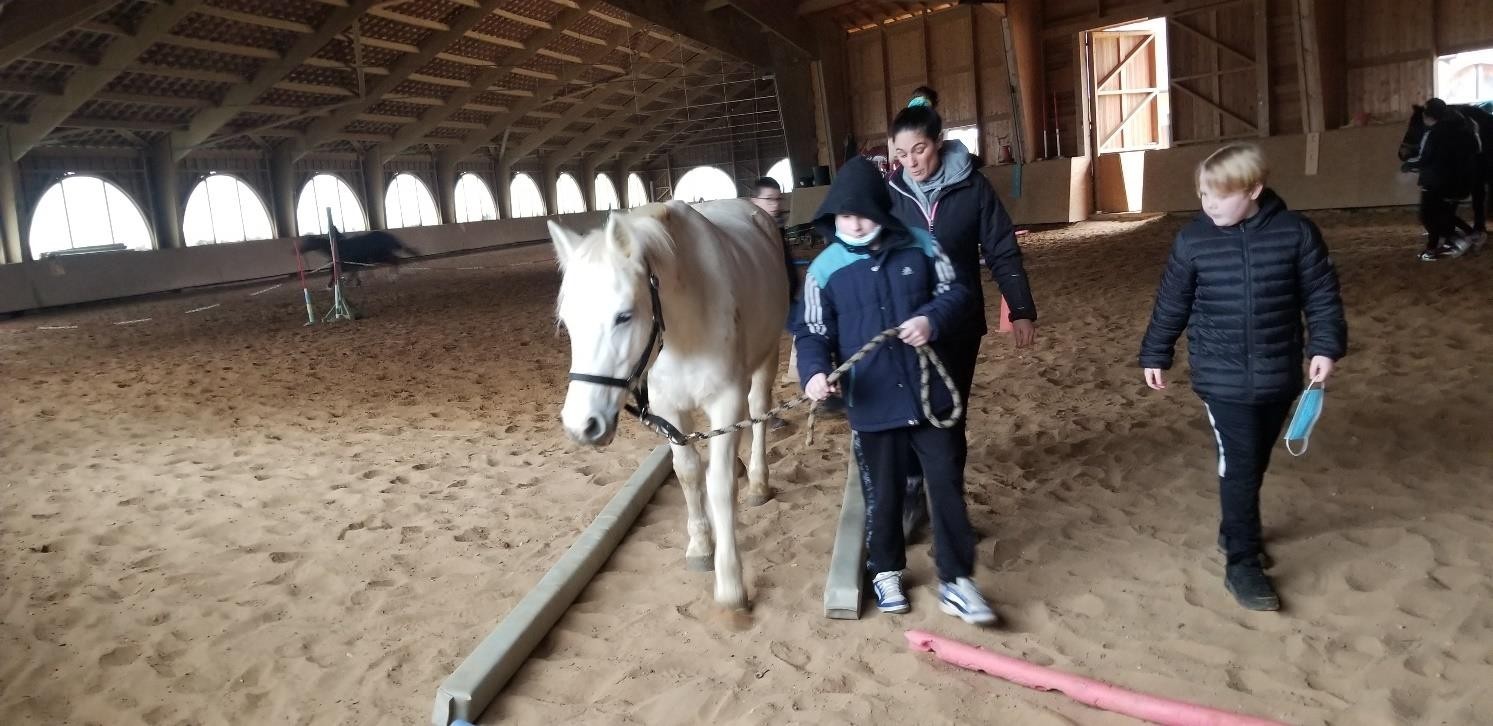 Médiation équine à Beaucourt